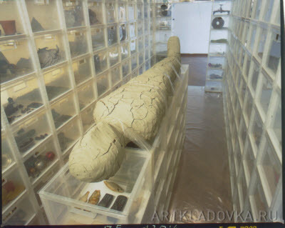 Container image
