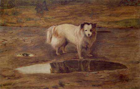Container image