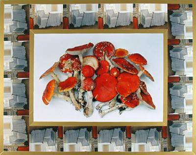 Container image