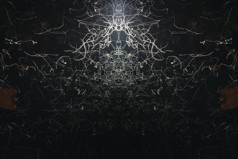 Container image