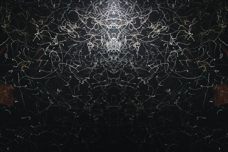 Container image