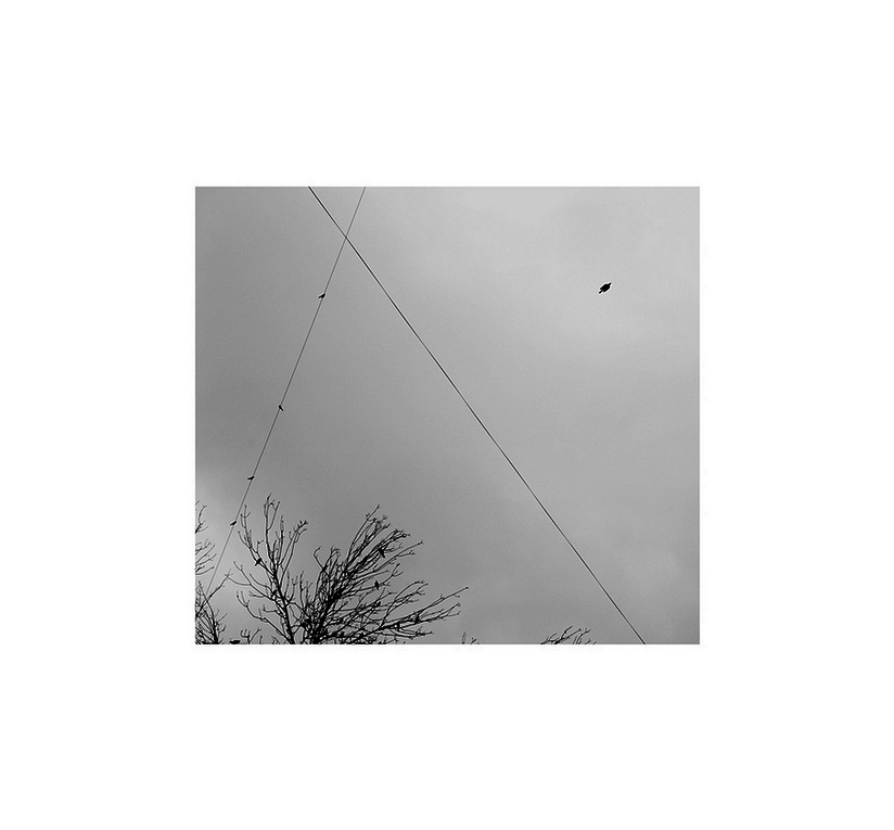 Container image