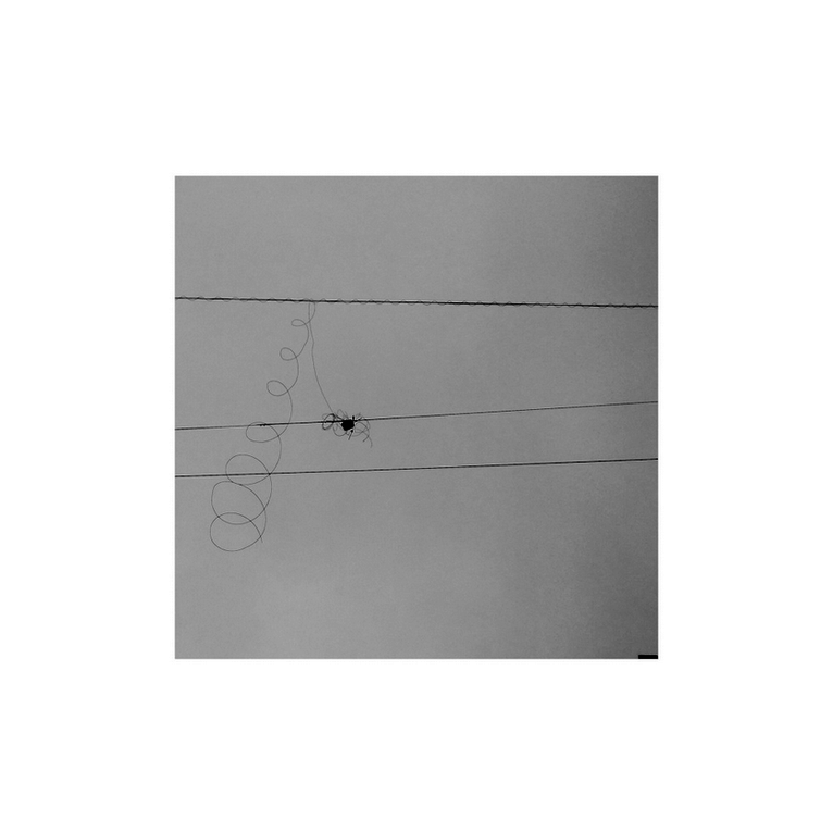 Container image