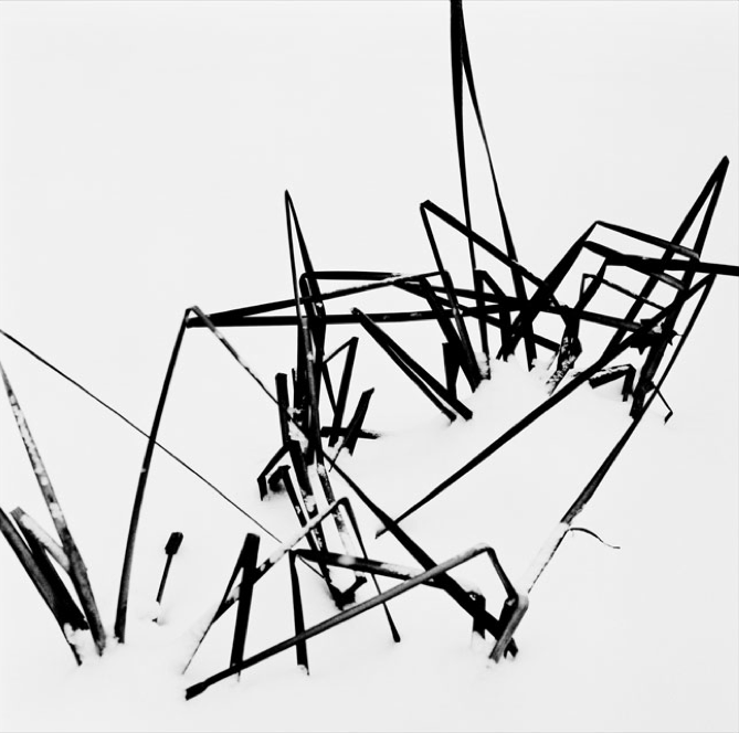 Container image