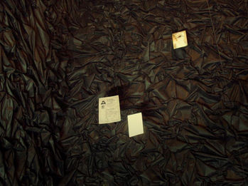 Container image