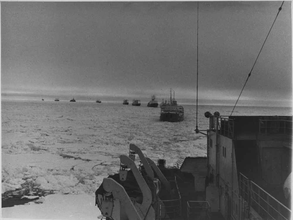 Container image