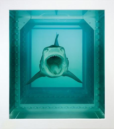 Container image