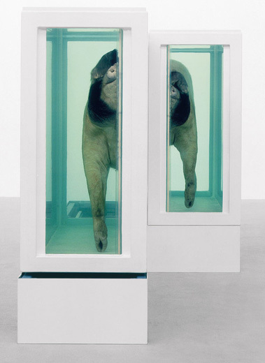 Container image
