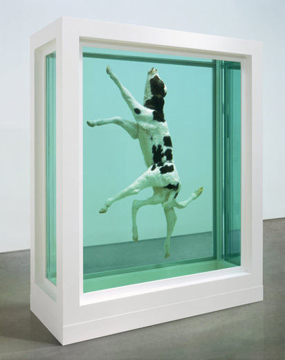 Container image