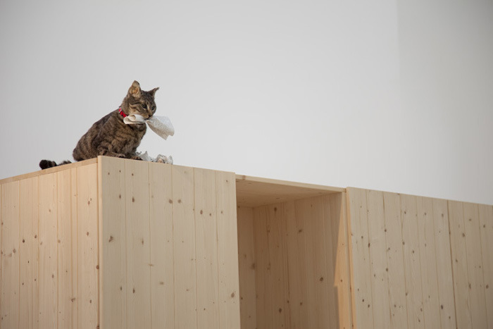 Container image