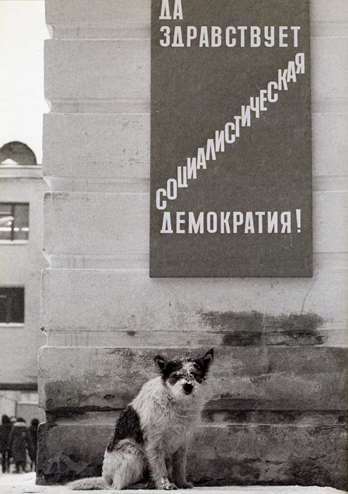 Container image