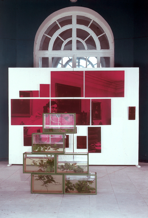 Container image