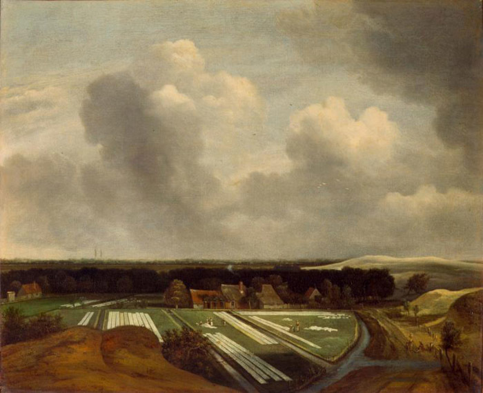 Container image