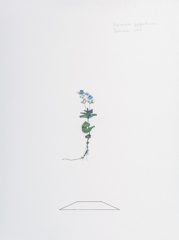 Container image