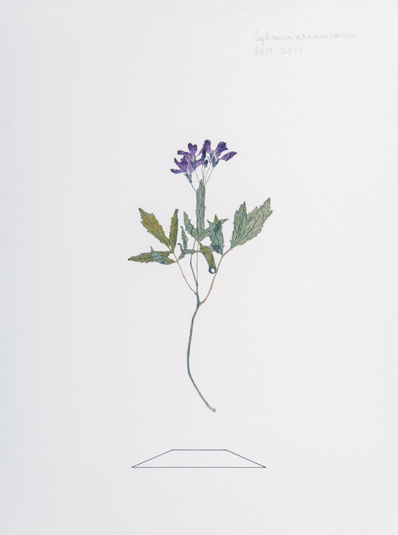 Container image