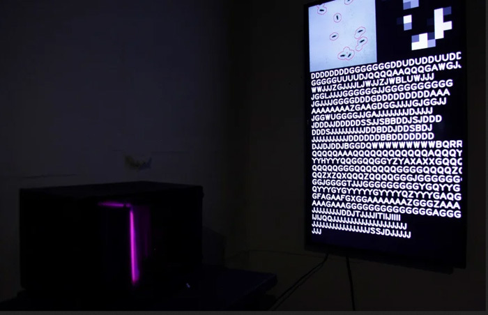 Container image