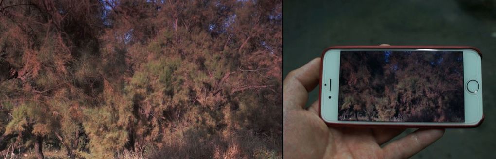 Container image