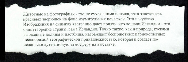 Container image