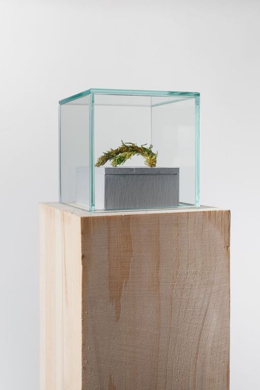 Container image