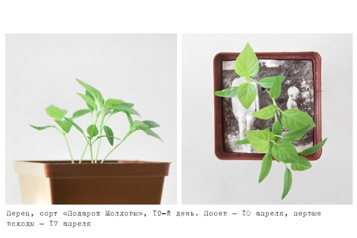 Container image