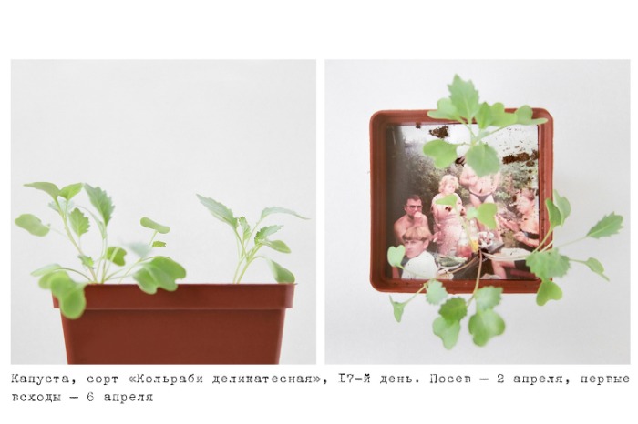 Container image