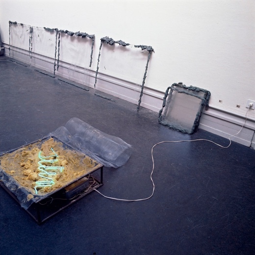 Container image