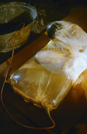 Container image