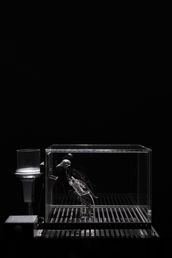 Container image