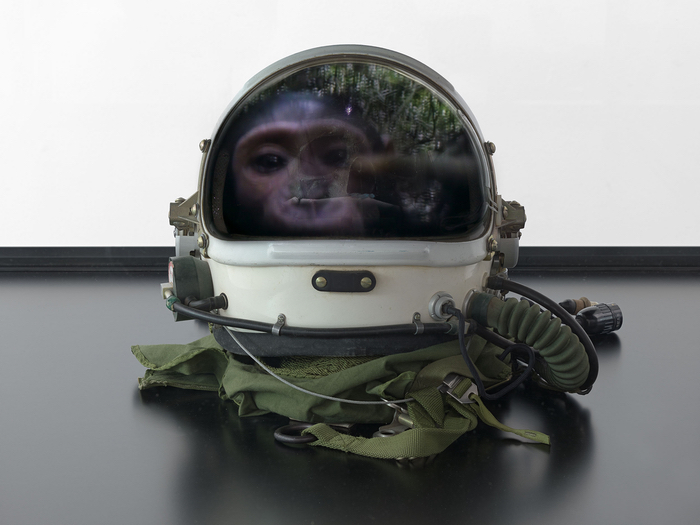 Container image