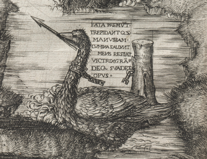 Container image