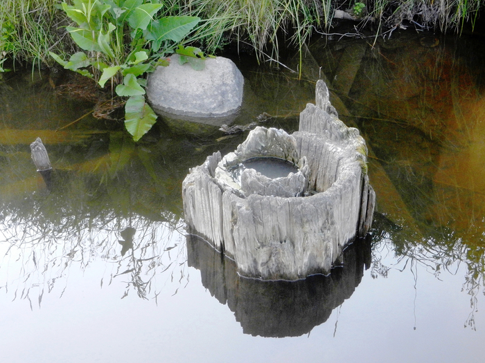 Container image