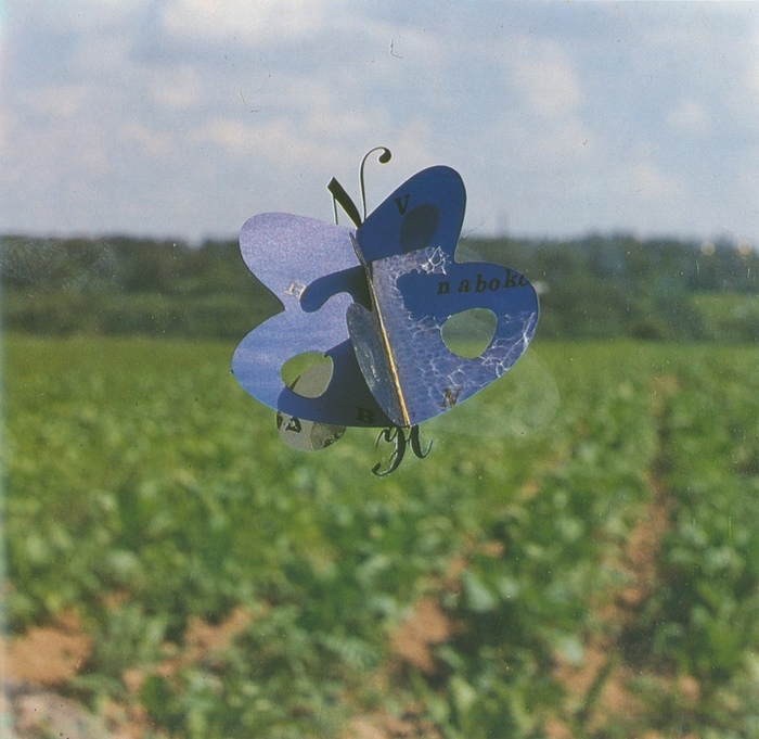 Container image