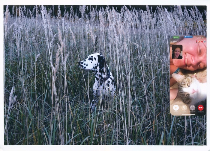 Container image