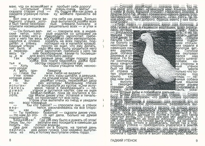 Container image