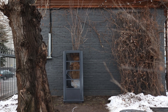 Container image