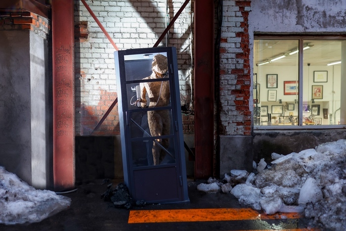 Container image