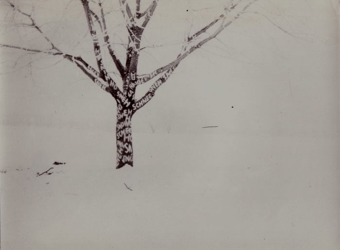 Container image