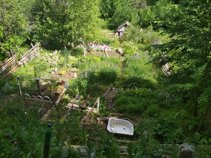 Container image