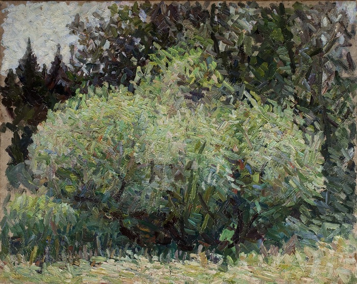 Container image