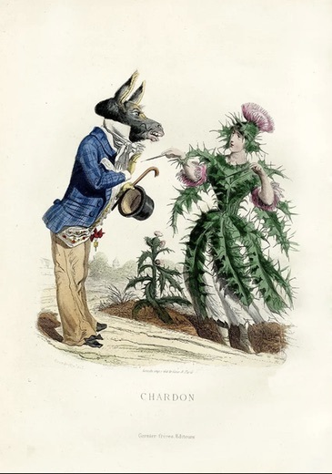 Container image