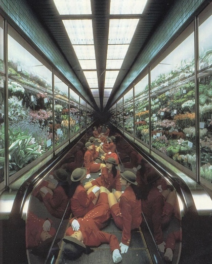 Container image