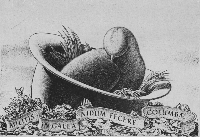 Container image