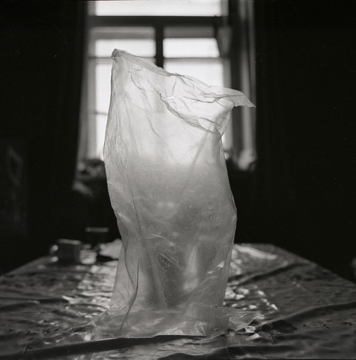 Container image