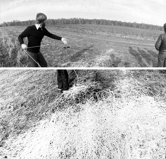 Группа «Коллективные действия». Время действия. Фотодокументация акции. Московская область, Киевогорское поле, 15 октября 1978. Фото: Игорь Макаревич. Courtesy Е.К.АртБюро