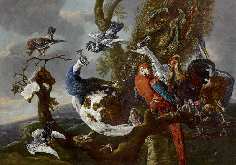 Ян Фейт. Птичий концерт. 1658. Холст, масло. ЛИХТЕНШТЕЙН. Княжеские собрания, Вадуц — Вена